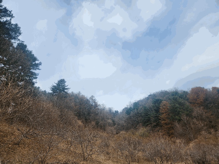 남양주지원 2025타경71424-1 사진