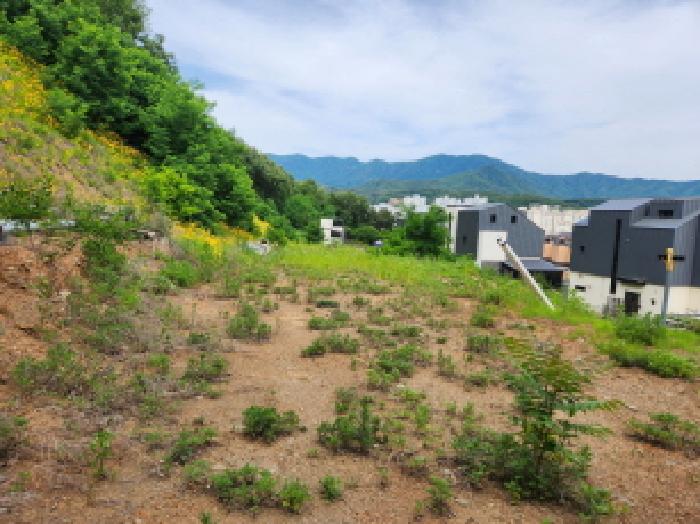 남양주지원 2025타경71742-1 사진