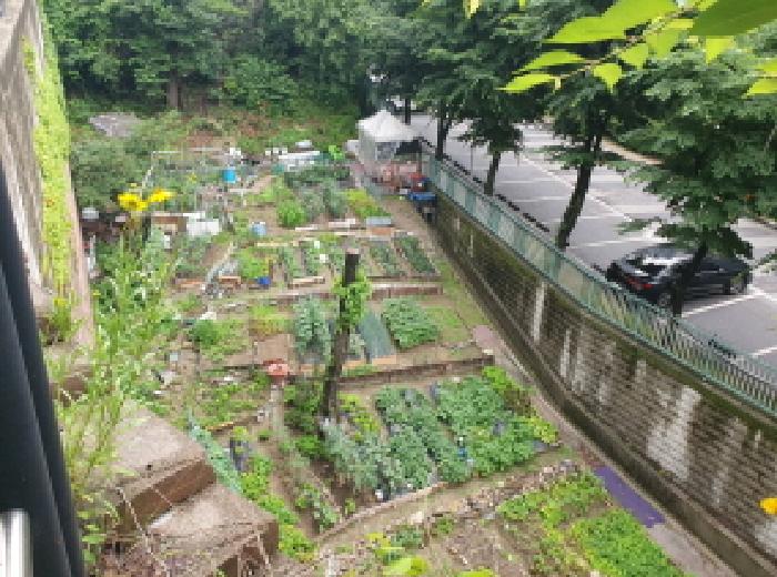 남양주지원 2025타경71788-1 사진