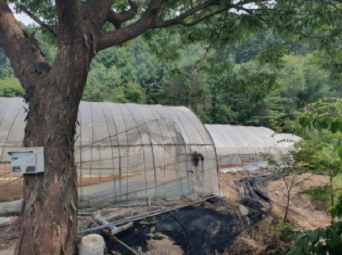 남양주지원 2025타경72034-1 사진