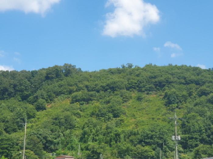 남양주지원 2025타경72143-1 사진