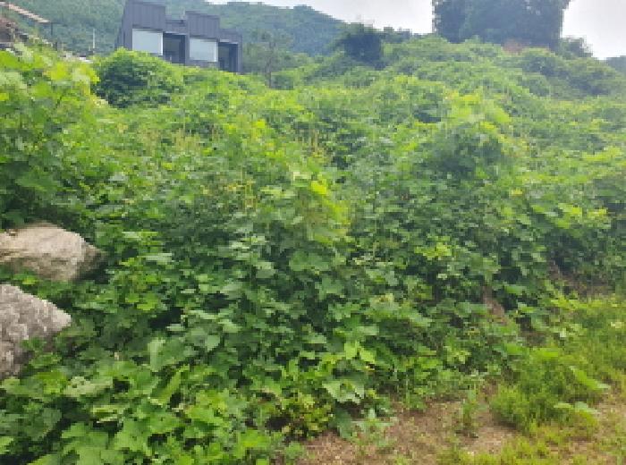 남양주지원 2025타경72148-1 사진