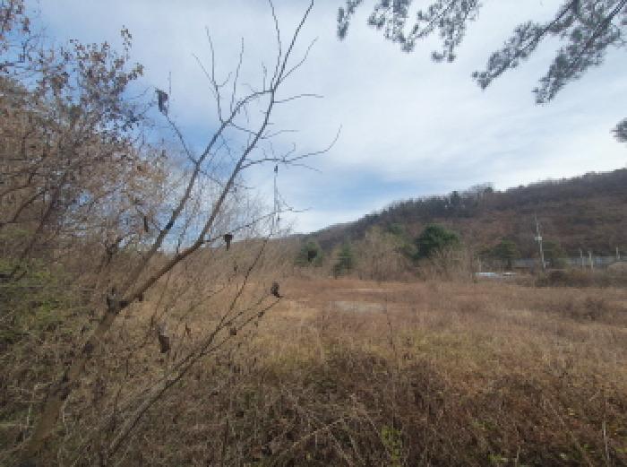남양주지원 2025타경72522-1 사진