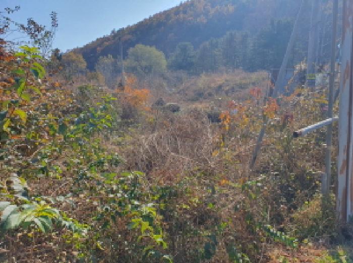 남양주지원 2025타경72525-1 사진