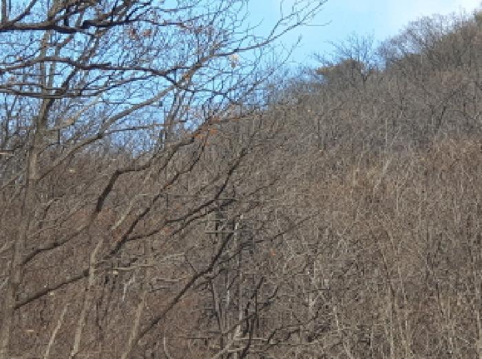 남양주지원 2025타경72661-1 사진