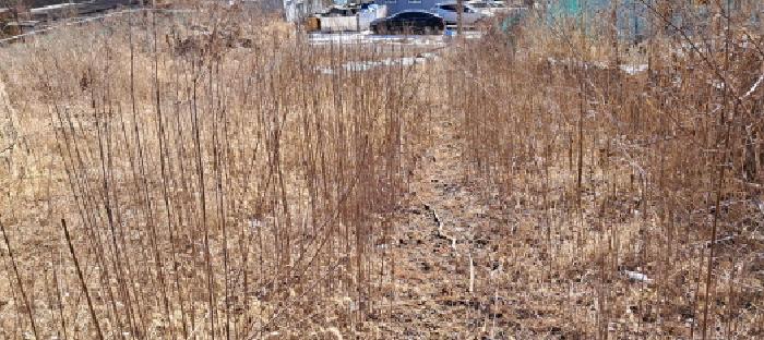 고양지원 2025타경61847-1 사진