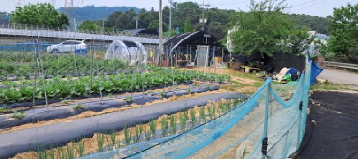 고양지원 2025타경63177-1 사진