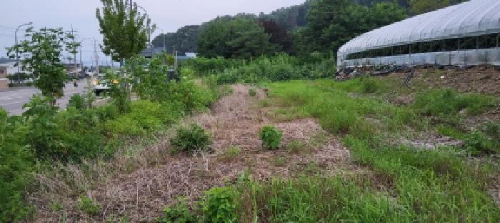 고양지원 2025타경63828-1 사진