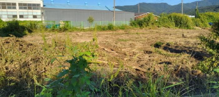 고양지원 2025타경64101-1 사진