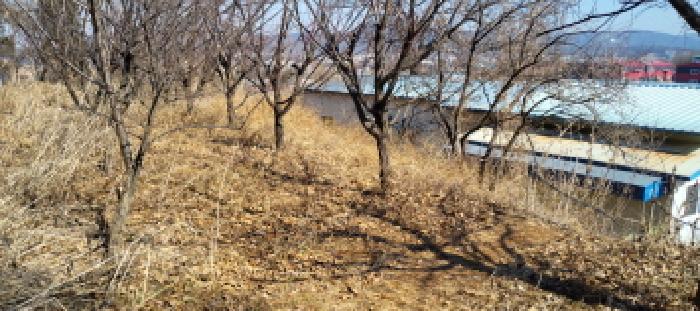 고양지원 2026타경60280-1 사진