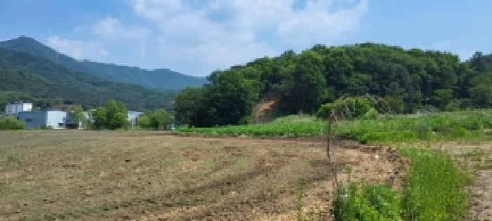 고양지원 2026타경61326-1 사진