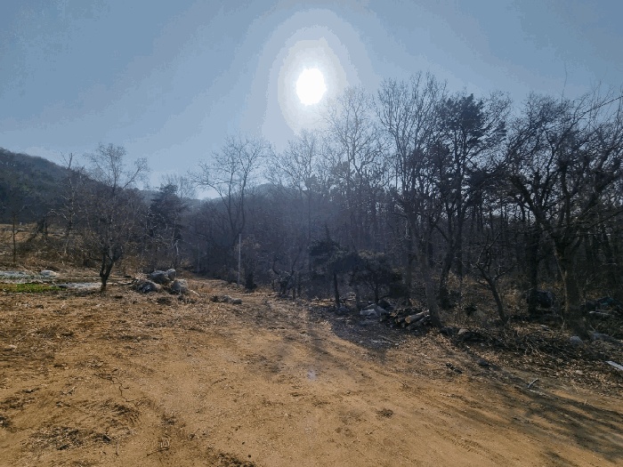 안산지원 2025타경51815-1 사진