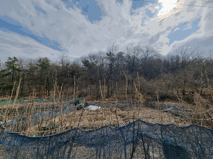 안산지원 2025타경51936-1 사진