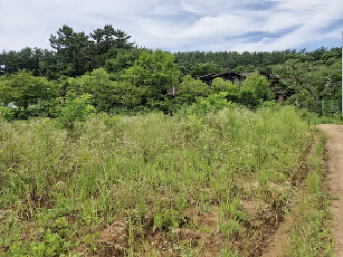 안산지원 2025타경52756-1 사진