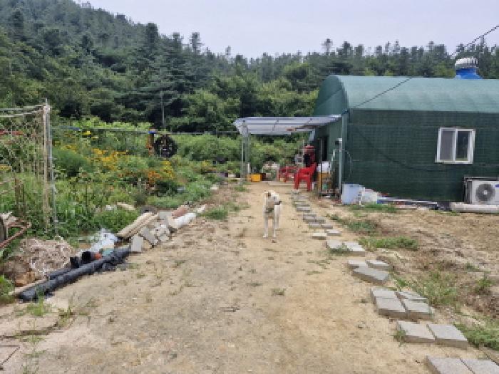 안산지원 2025타경52952-3 사진