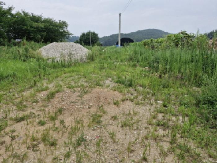 안산지원 2025타경52972-1 사진