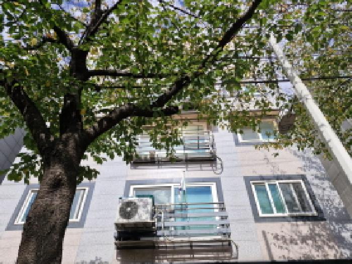 안산지원 2025타경53450-1 사진